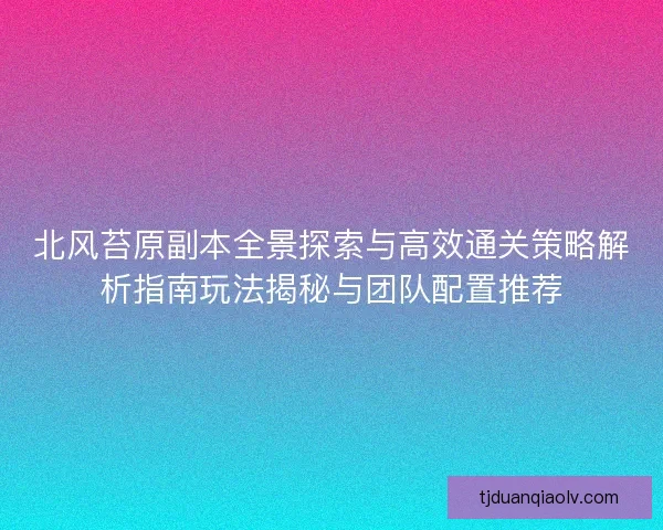 北风苔原副本全景探索与高效通关策略解析指南玩法揭秘与团队配置推荐