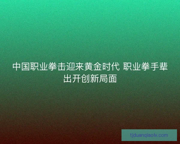 中国职业拳击迎来黄金时代 职业拳手辈出开创新局面