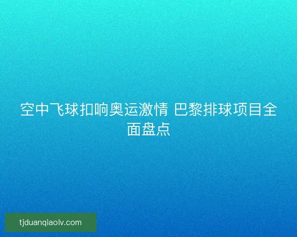 空中飞球扣响奥运激情 巴黎排球项目全面盘点